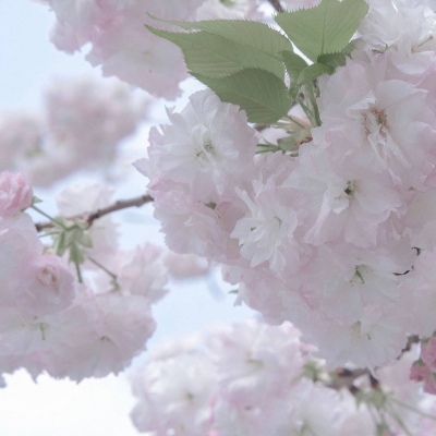 南山福瑞交流群